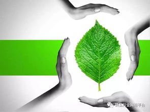 必看 實現(xiàn)磚廠企業(yè)達標(biāo)排放 金瑞特環(huán)保科技